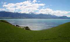 landscape.JPG