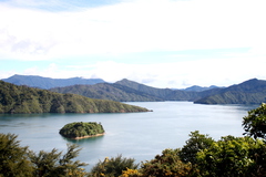 landscape2.JPG