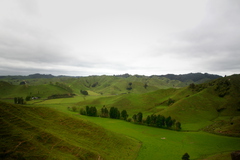 landscape.JPG