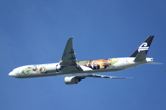 plane.JPG