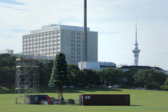 halfachristmastree.JPG