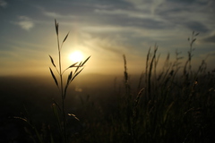 sunsetauckland.JPG