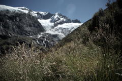 robroyglacier.jpg