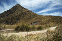 benlomond.jpg