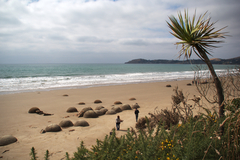 moerakibeach.jpg
