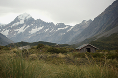 mtcookandshelter.jpg